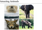 Webquest: Amazing animals | Recurso educativo 34395