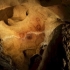 Cueva de Tito Bustillo | Recurso educativo 34602