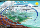 Webquest: The water cycle | Recurso educativo 35408