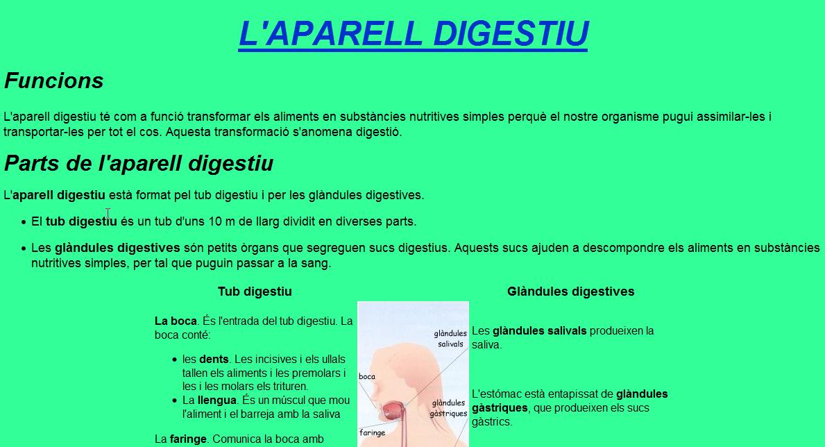 L’aparell digestiu | Recurso educativo 35920
