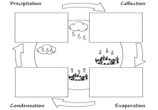 The water cycle | Recurso educativo 38657