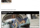 Video: Park Güell | Recurso educativo 39708
