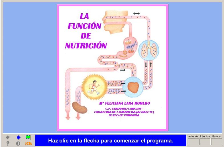 La Función De Nutrición Recurso Educativo 41370 Tiching 8737