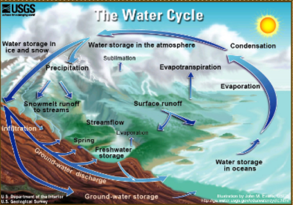 Webquest: The water cycle | Recurso educativo 43017