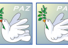 Las diferencias: Paloma de la Paz | Recurso educativo 43233