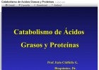 Catabolisme d'àcids grassos i proteïnes | Recurso educativo 47321
