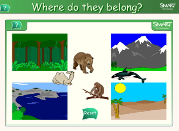 Where are the animals? | Recurso educativo 47535