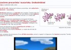 Endosimbiosi | Recurso educativo 47672
