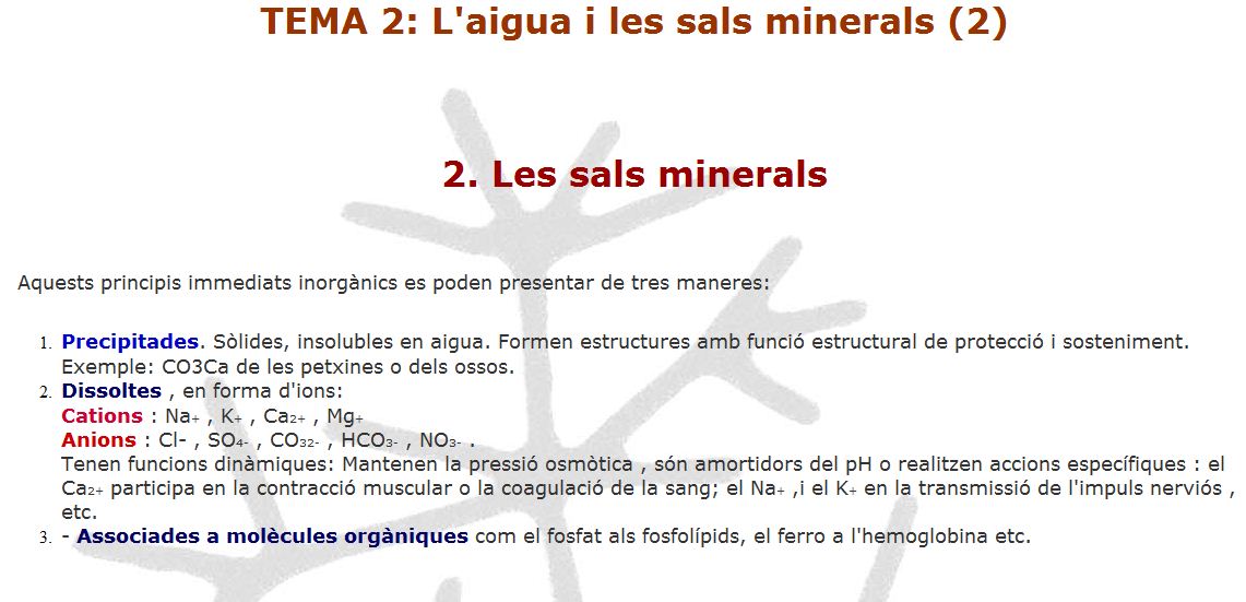 Sals minerals | Recurso educativo 48735 - Tiching