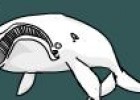 Las especies de ballenas más amenazadas | Recurso educativo 50600