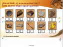 Fósiles | Recurso educativo 51612