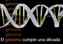 Genoma. El mapa de la vida | Recurso educativo 53681