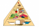 Food pyramid | Recurso educativo 55211