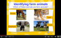 Video: Classification of farm animals | Recurso educativo 60509