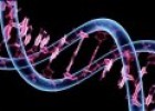 El ADN y la herencia | Recurso educativo 61163