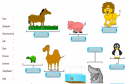 Names of animals | Recurso educativo 11705