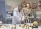 Vídeo: Esqueleto Humano | Recurso educativo 11968