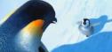 Vídeo: fragmento de película infantil sobre pingüinos | Recurso educativo 12614