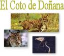 El Coto de Doñana | Recurso educativo 21227