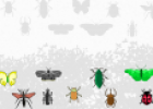 Ara y Belbo: asociar insectos | Recurso educativo 29534