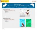 Aves y mamíferos. Hacemos un libro para la biblioteca de aula | Recurso educativo 30872
