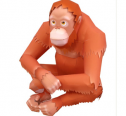Animales: Orangután | Recurso educativo 31195