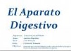 El aparato digestivo | Recurso educativo 32405