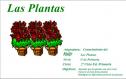 Las plantas | Recurso educativo 32438