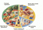 Webquest: Food and health | Recurso educativo 55514