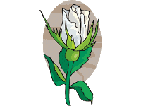 Cuento: La rosa blanca | Recurso educativo 62749