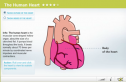 The human heart | Recurso educativo 64146