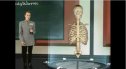 El esqueleto humano | Recurso educativo 65052