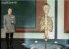 El esqueleto humano | Recurso educativo 65052