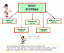 Human systems | Recurso educativo 67372