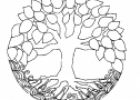 Mandala de árbol para educación infantil | Recurso educativo 68267