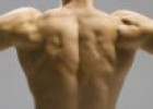 El tejido muscular | Recurso educativo 69100
