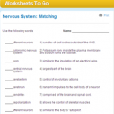 Nervous system: Matching | Recurso educativo 69794