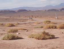 Atacama, vida en el lugar más árido del mundo | Recurso educativo 71563