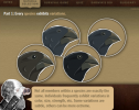 Darwin's evolution game | Recurso educativo 73164