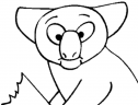El Abecedario de los Animales: koala | Recurso educativo 76827