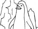 El Abecedario de los Animales: pingüino | Recurso educativo 77180