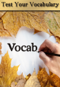 Test your English vocabulary | Recurso educativo 79152
