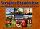 Los sectores económicos | Recurso educativo 84045