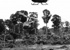 The Impact of War on Vietnam | Recurso educativo 98513
