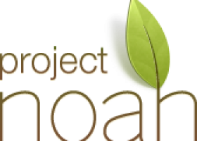 Project Noah | Networked Organisms And Habitats | Recurso educativo 102961