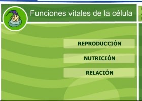 Les funcions vitals de la cèl·lula | Recurso educativo 500420