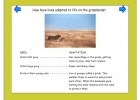 Adaptació dels animals i entorns | Recurso educativo 680651
