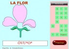 La flor | Recurso educativo 688441