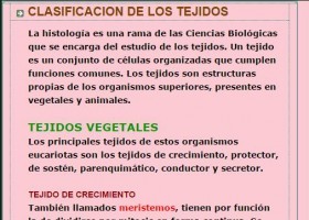CIENCIAS BIOLOGICAS: CLASIFICACION DE LOS TEJIDOS | Recurso educativo 95327