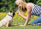 Haz feliz a una mascota: reglas de defensa de los animales | Recurso educativo 724814